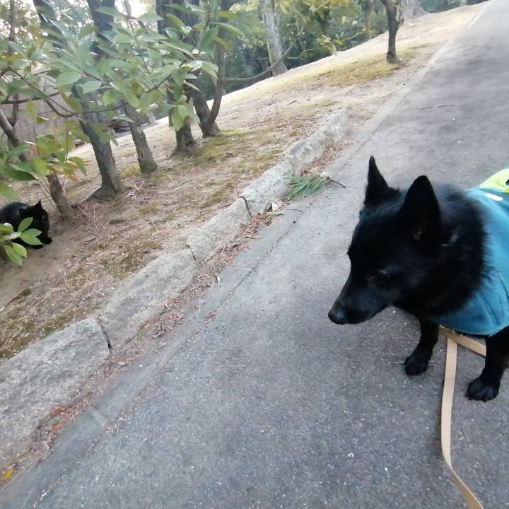 E09656ac 3223 4f96 83b2 80141a03758d 1642370968442