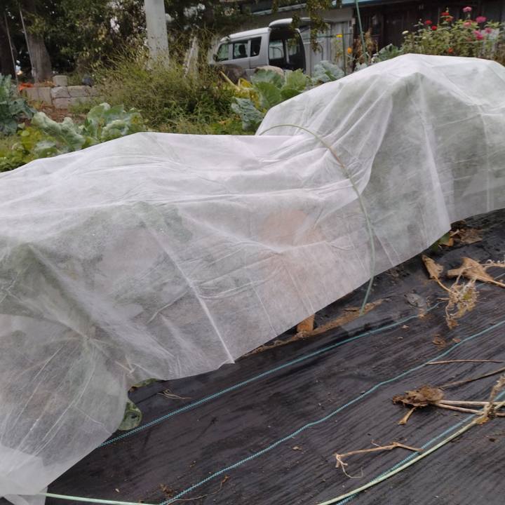 E0965d84 e852 4c8e 91c7 f46bcfd57ad0 1696030490985