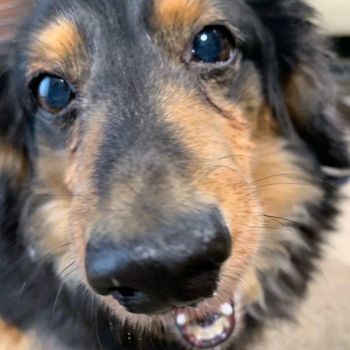 E0969f5b c64c 495d a6bf e77a27df36fd 1583277050553