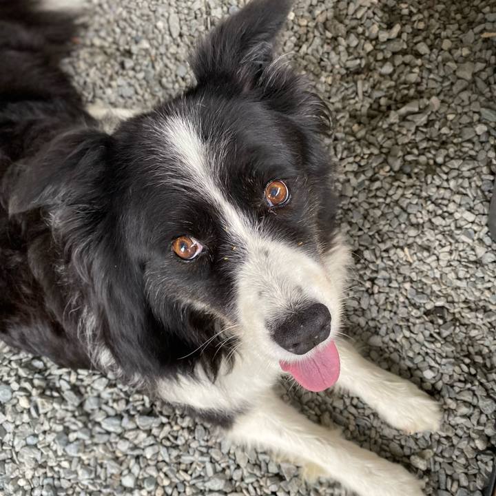 E096f3fc 9802 4de3 a7d9 c3b32fa09c69 1663285855552