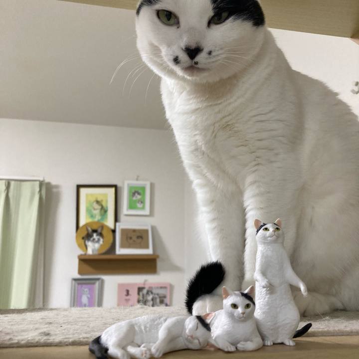 E0974f41 39ba 4504 8efd 4ae5d52c32f3 1774012292144