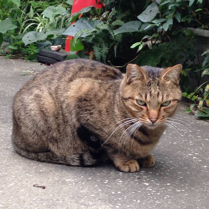 E09753d8 0539 48b9 b848 bc6a62bade5b 1508851082706