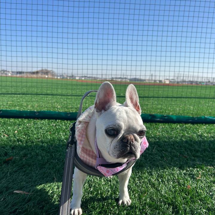 E09788d6 f974 4744 8dca cfe1f3acdf7f 1768632527946