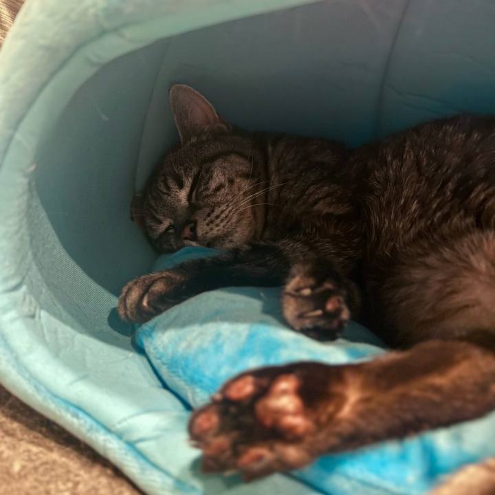 E097a1e5 bd29 4aa9 a167 905e5bd01a65 1761986148351