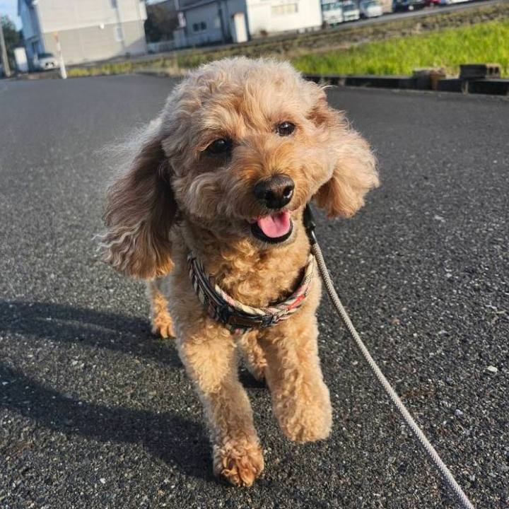 E097fd4c c8c9 4018 a4ea 1758cc7d6745 1766446234123