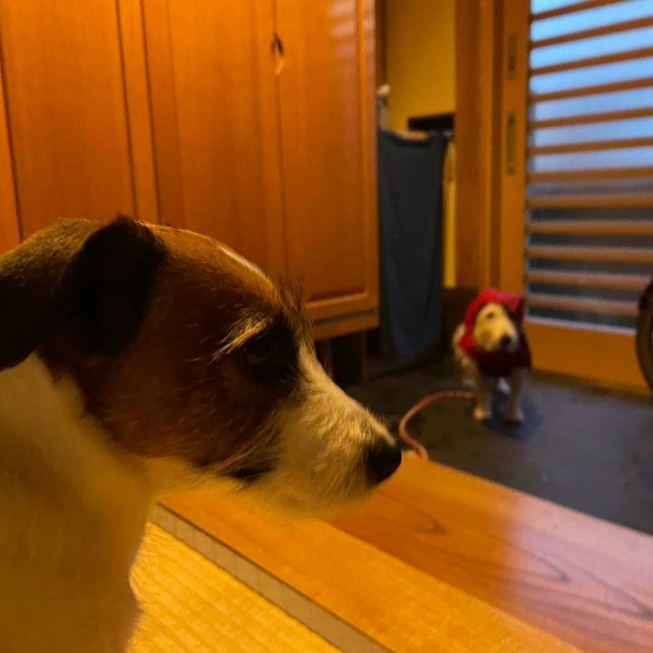 E098021c e4a3 4cef 9ed7 54e19b3b2ccc 1735166017451