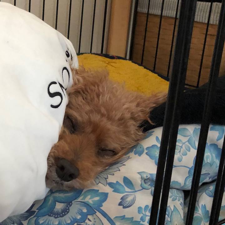 E0981254 f0fa 411d 8999 dfb6509225f6 1599368853533