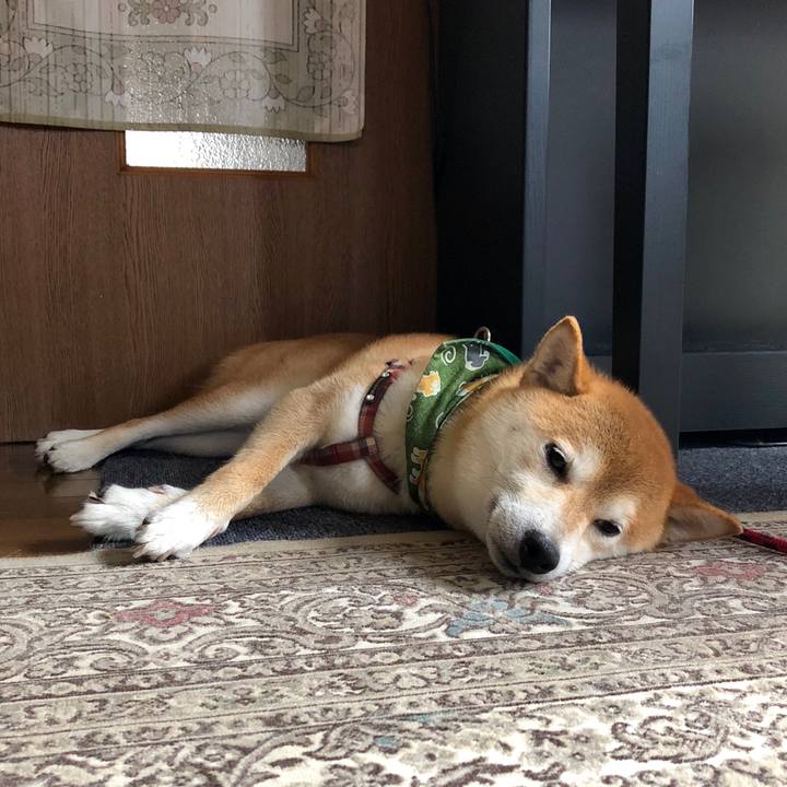 E098265f 5d3a 4c20 8ac6 2d0d40162c3a 1534217052535