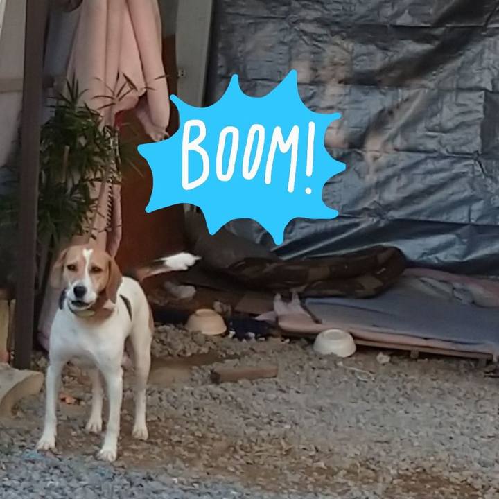 E09843df 7269 4bdf 8466 929369d0ee03 1603601271625