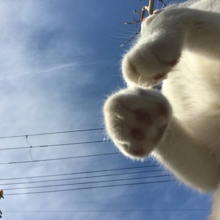 E0984b97 b90f 4dba be6c 88c36ccc0b8c 1519101870652