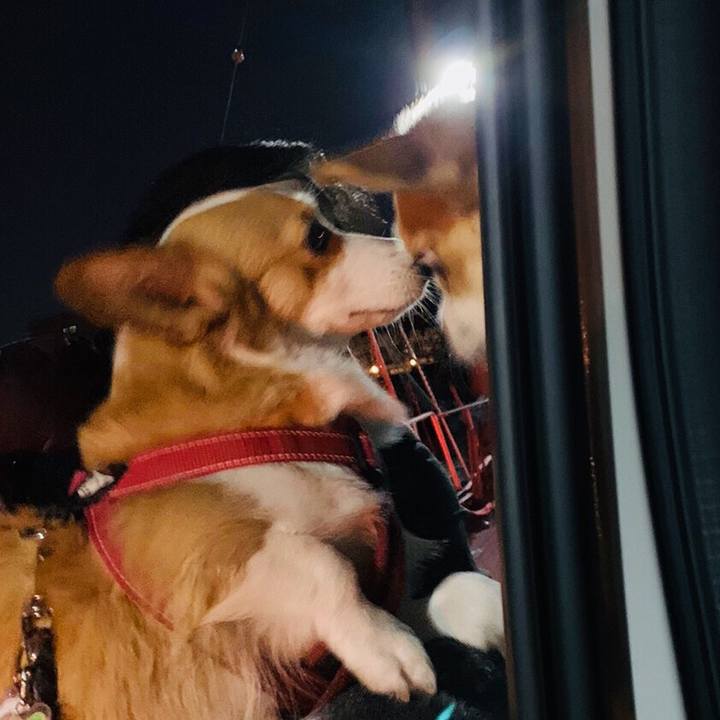 E098b530 64eb 4058 be84 62578df5beb1 1575844223579