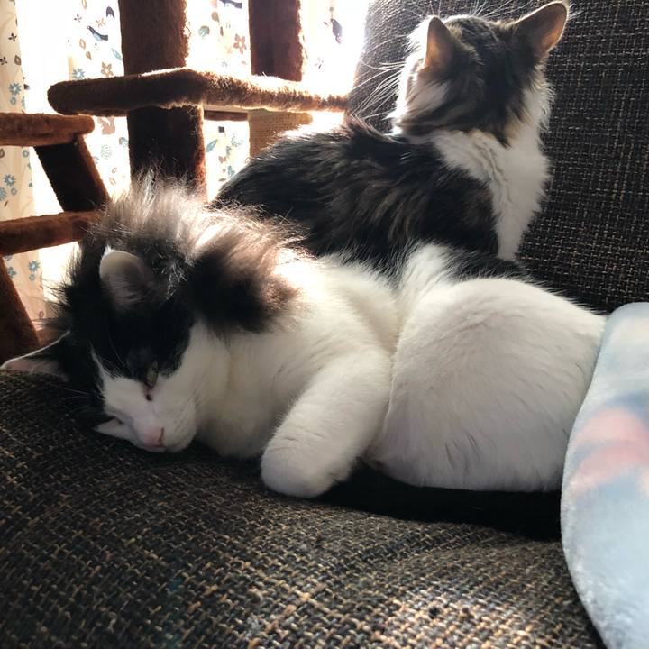 E098bb2e 197f 4eb0 a52b 256100826f16 1515928713871