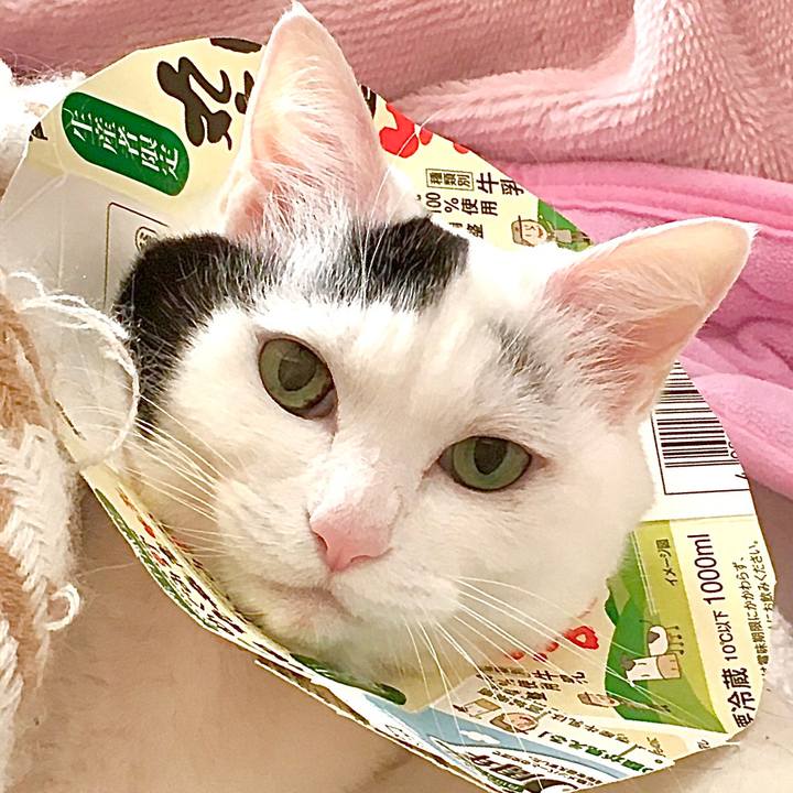 E098d206 85ae 4f3e 92f3 95d9d5fe8ef0 1583739397573