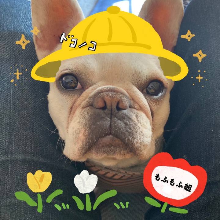 E098eada bf95 4c05 b9d0 64f1dff57f82 1712224886001