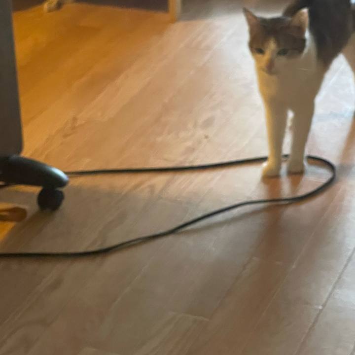 E098f38d a7be 4ea6 8ef1 b388149e0c17 1630115230487