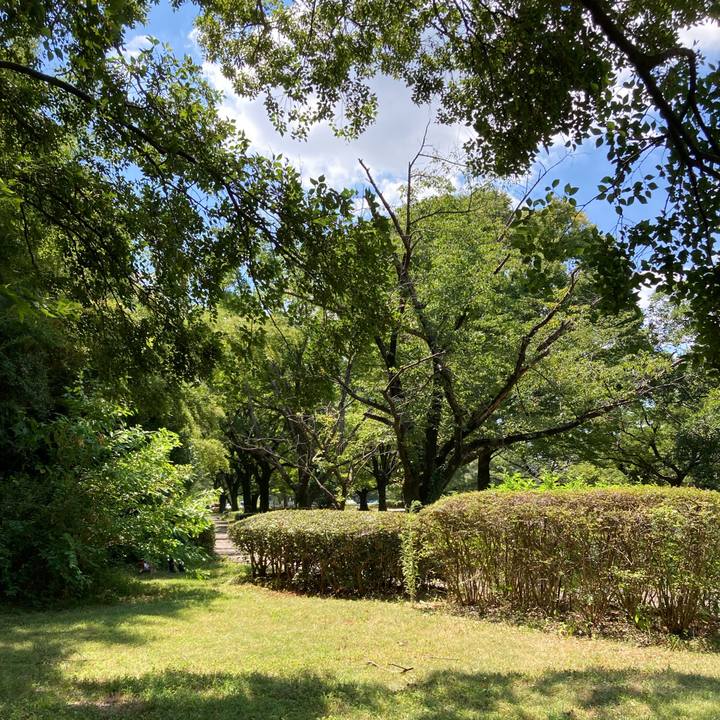 E098f5f4 ea44 400f a82c 7db2fa38d7cb 1690771078596