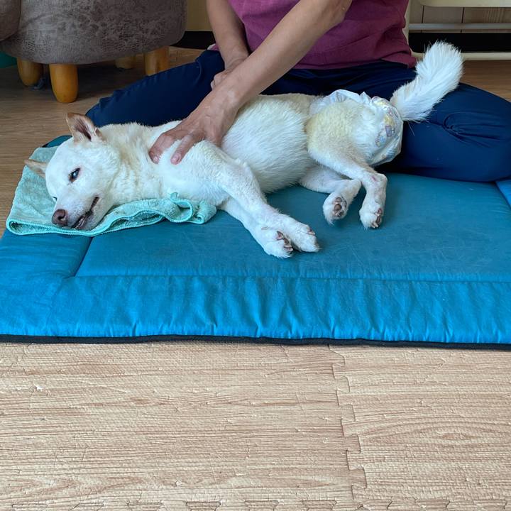 E098fec0 e62d 41ed 8c34 20845db312e4 1663679142794