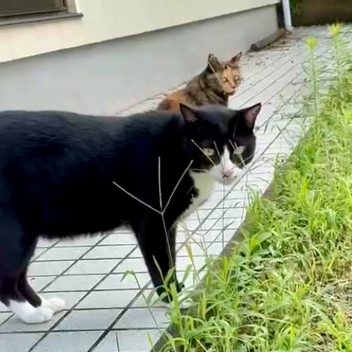 E0990809 1dba 4999 b40b 4943c973ae33 1754985791612