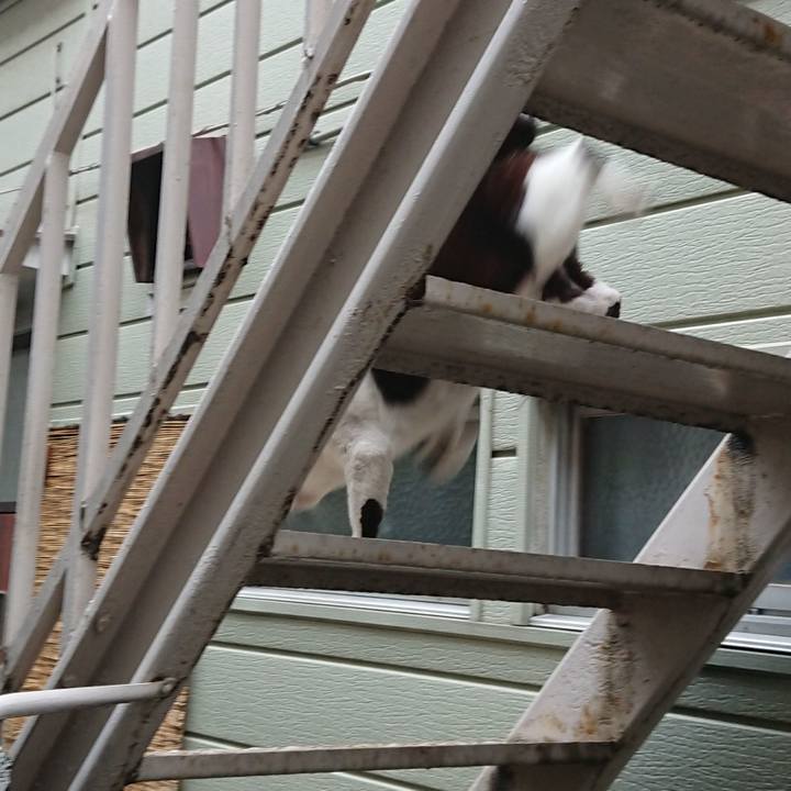 E0995e4c b042 4dc3 ad93 f49e32baf215 1592124525333