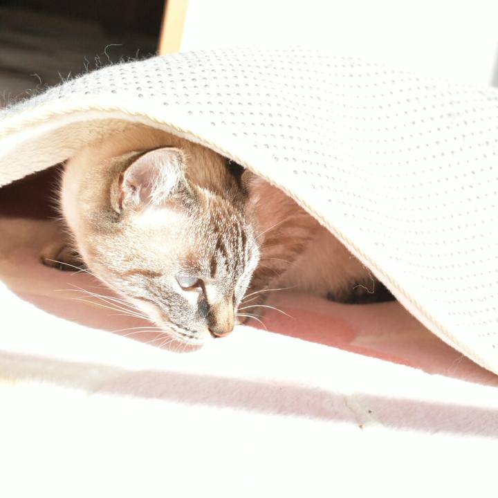 E0997b65 0fde 4372 ab6c 3503c304b8f1 1510807171874