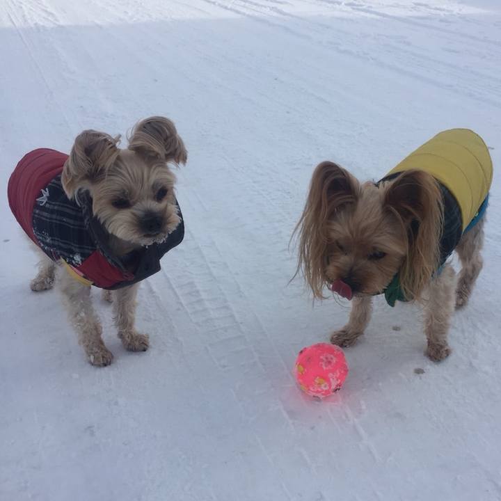 E09983bb a4cf 4437 87cd 891a922cc692 1547200349578