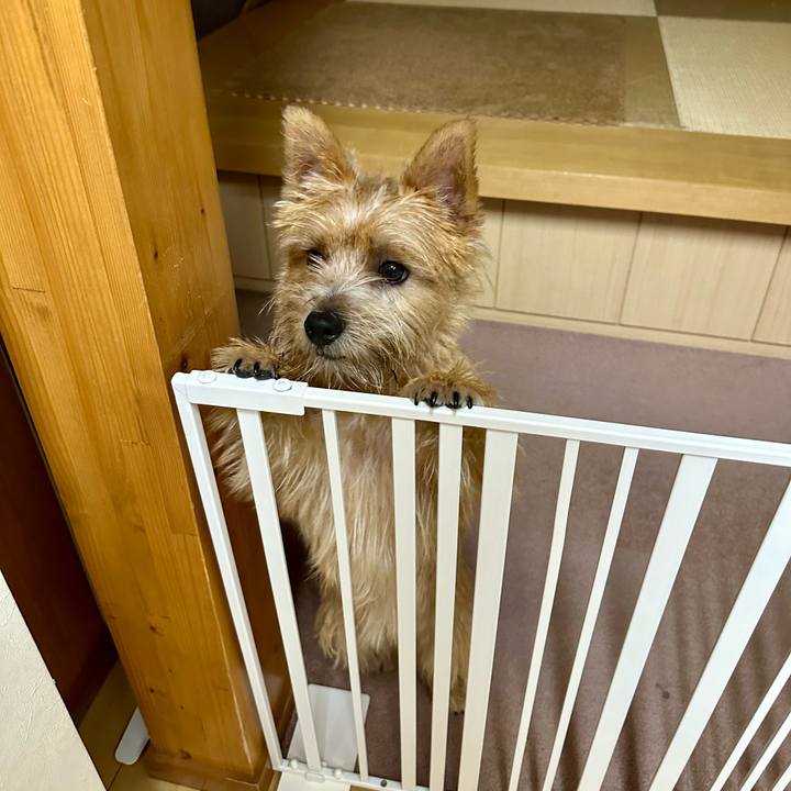 E0998b7d 6da5 4f33 9725 1434f259da91 1723389780216