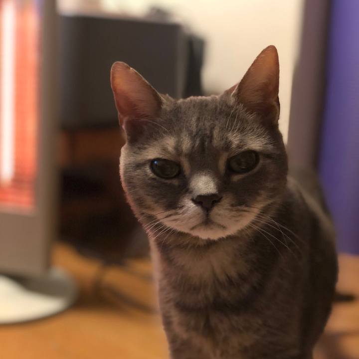 E099e345 b07a 4870 9c06 0fe9610df80c 1554730438104