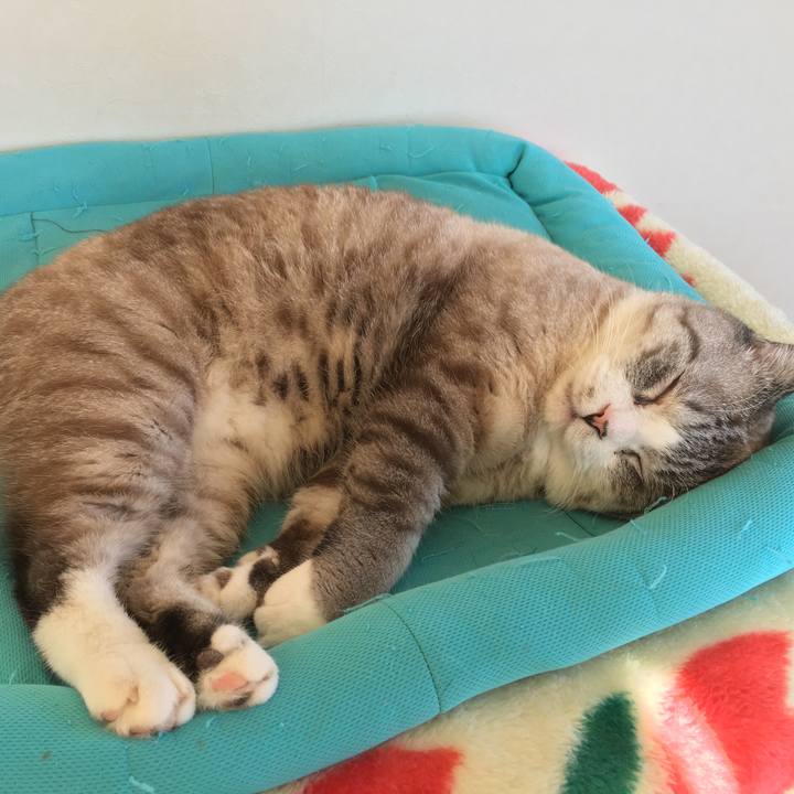 E099e9fc 4cee 4659 9a86 1dab9505e468 1513212553550