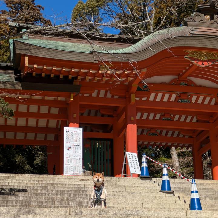 E099ff66 e01c 46bc a0c8 9e13f65ccd90 1737213115988