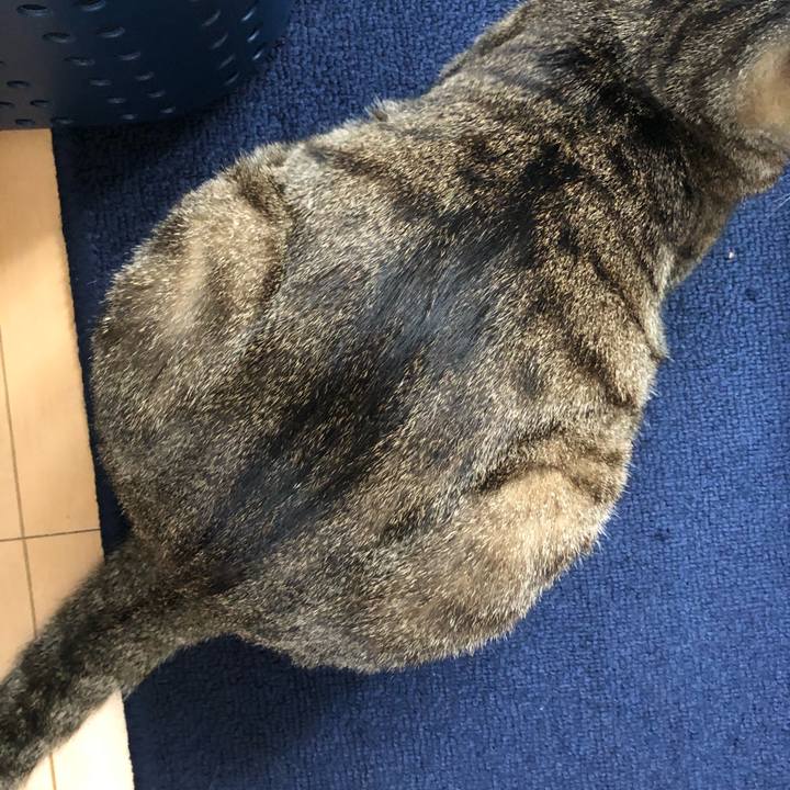 E09a22c2 38d1 46ca 9850 18097e92174c 1649447270632