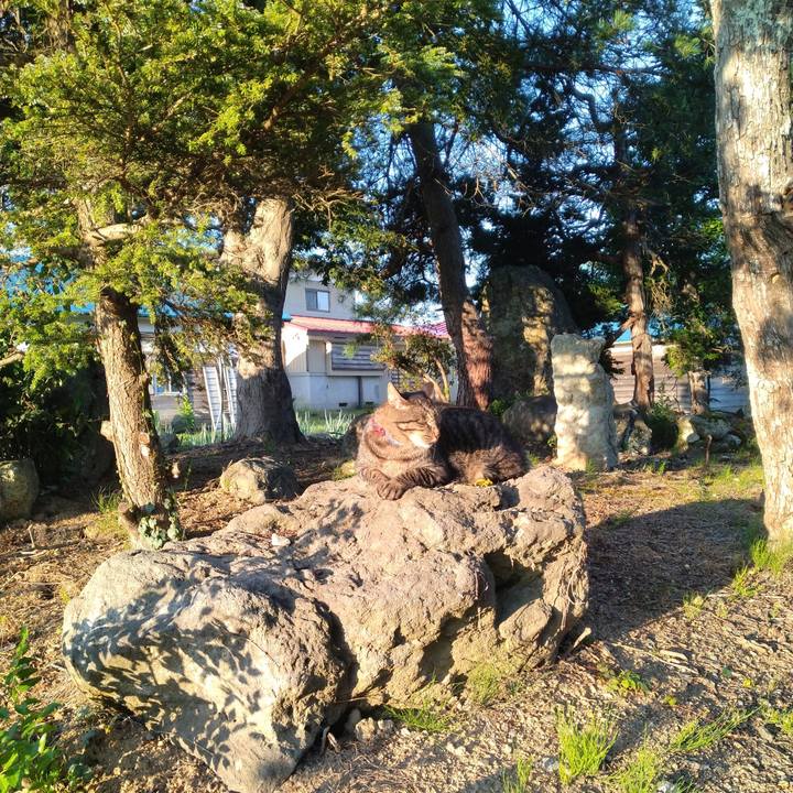 E09a29b3 aaaf 478b 9dc3 bdcec9983d5a 1692657685873