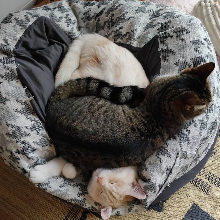 E09a2d7c ab0e 44b2 a56e eedb8ce4c6c2 1653116362743