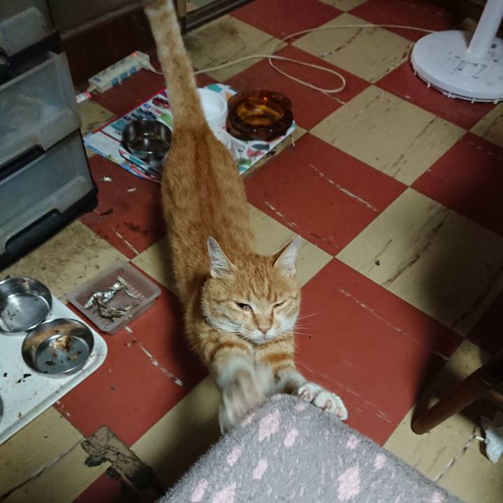 E09a7f6b fdf1 4f53 aebc 5d16ddd17eb7 1594240561274