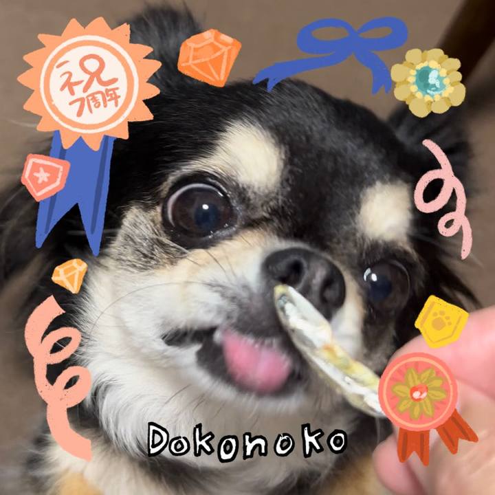 E09aaf70 74de 46d9 9253 24f6c843f617 1685946373412