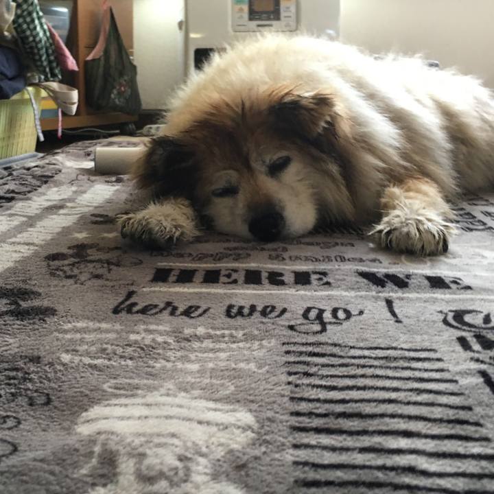 E09ac26d 7daa 45ff 9d01 b0f39203a80d 1556934947887