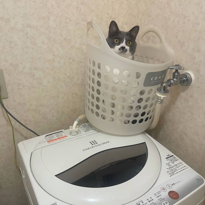 E09ac4ff 59bd 42d5 9084 9e90bffc2a1e 1644630007673