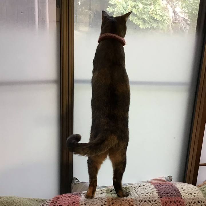 E09acb6f d0f2 46d9 8f98 b50f1a56be44 1635836399396