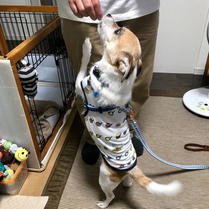 E09b3bd7 32ab 43ac ab5c 5acb6c827a9f 1600424119996