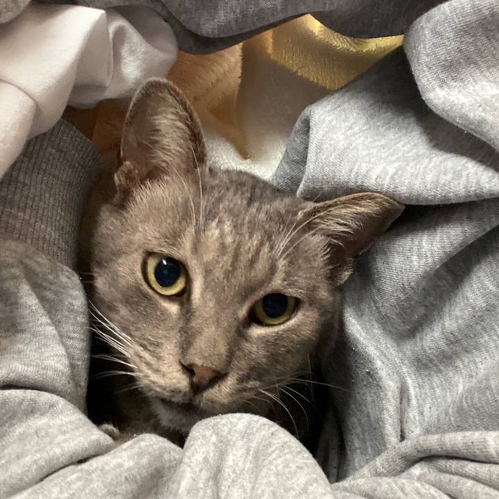 E09b4205 2fe7 4566 aa6e 2f57aae1789e 1572533166113