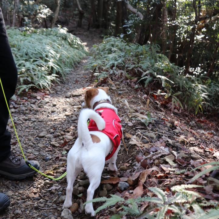 E09b4d84 f056 41cb b9f6 eef65d0bb5e3 1518325980658