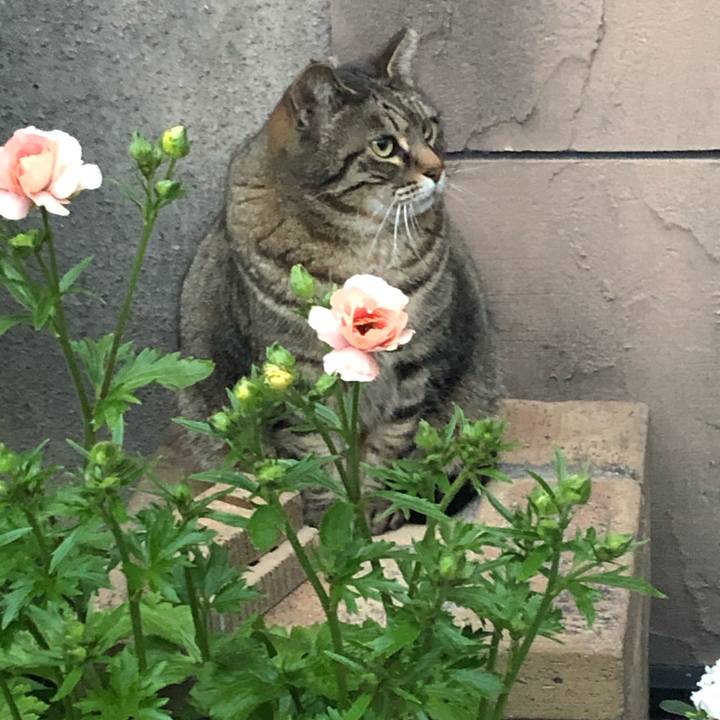 E09b6280 f8ca 4cb2 994e 3408a9d99859 1584101477875