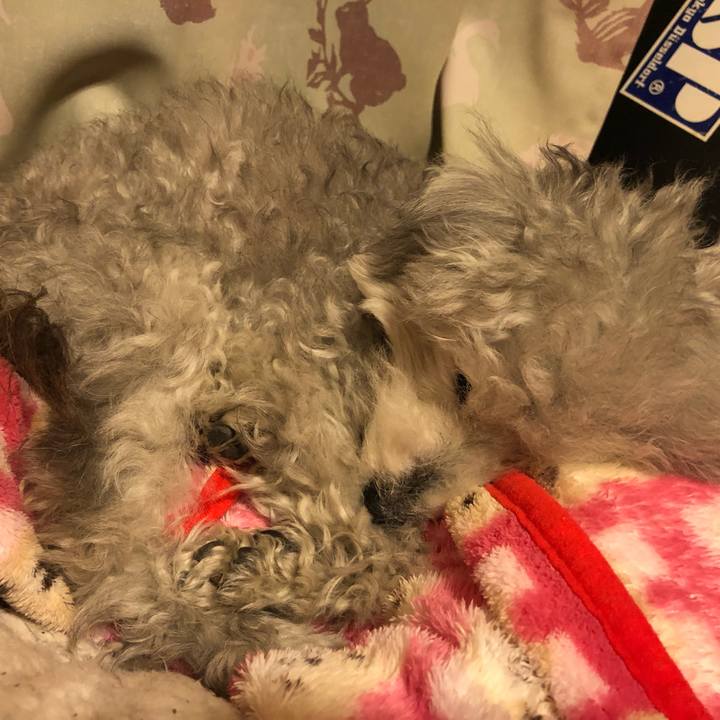 E09b86c9 4b81 4948 bb96 480dcf44793c 1615728658009