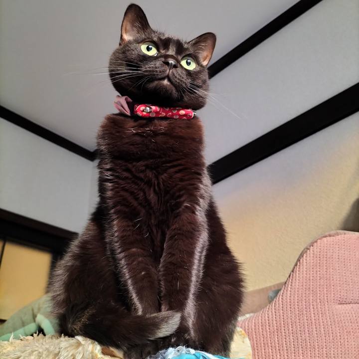 E09bb2d6 a498 4df7 a4fd 337e16dd0c51 1640215398784