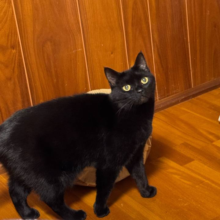 E09bb80d 6a18 45ce 882c 83c4bd58801e 1764657404221