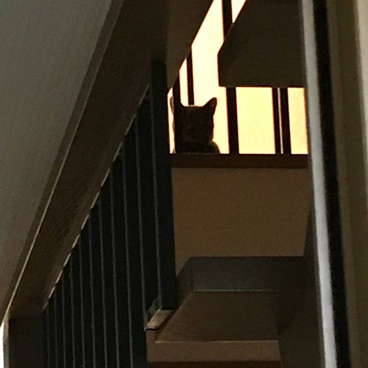 E09c4f35 5c09 4b7a 84c6 7aa46c85a99a 1534670607071