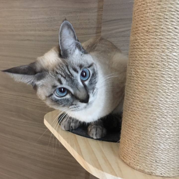 E09c89ba 88e7 46ec 94c7 464d5b79ab46 1575933669141