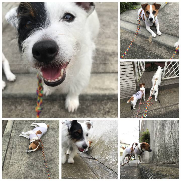 E09cd9ab 84f0 47ee a0ba 89618fabd9ea 1534722543498