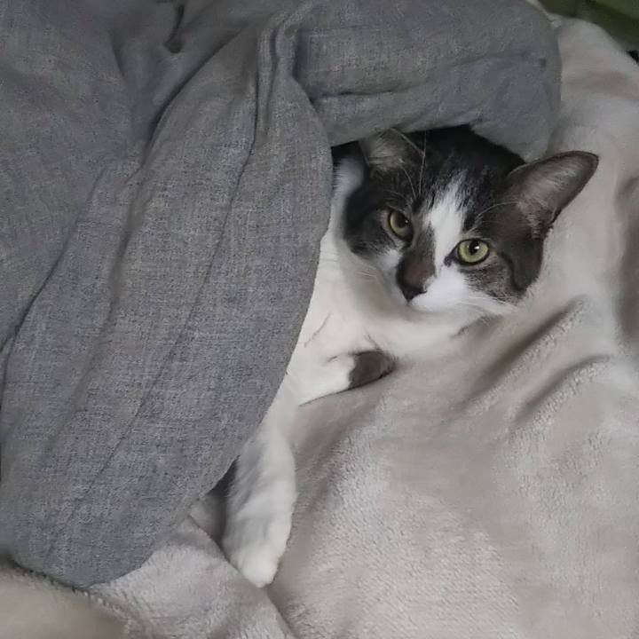 E09cf517 e875 4106 b1ac 17fbf7fe93fd 1606312795128