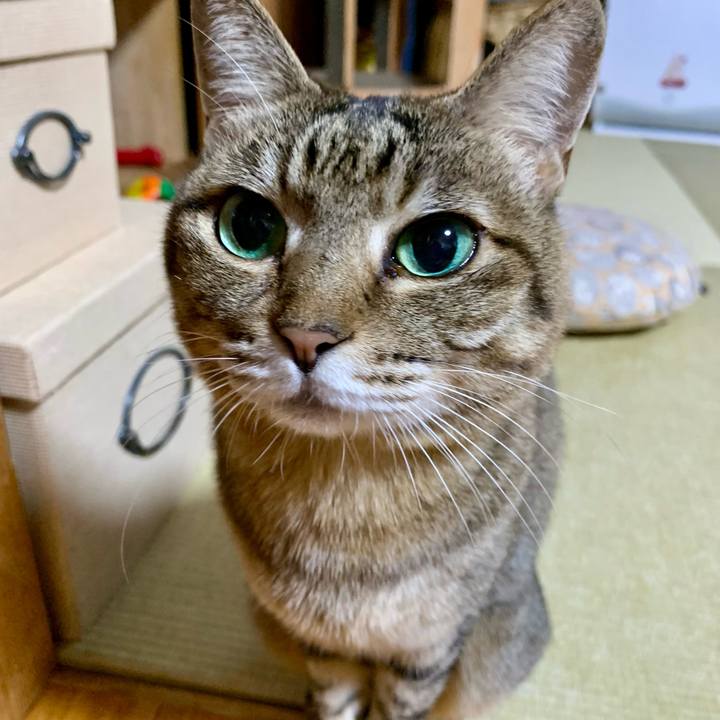 E09cf6eb 3a69 49d4 bd5b 881ace7411a7 1648265655142