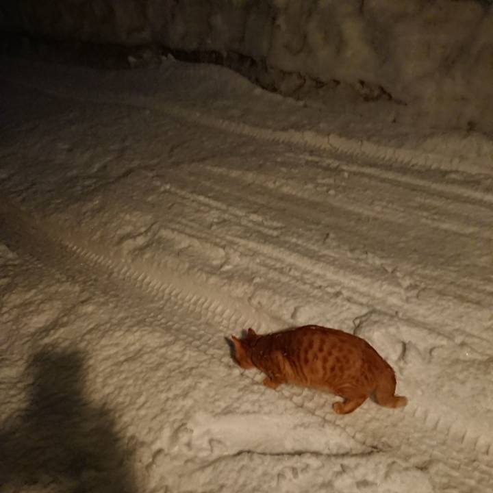 E09d0bdd cdc7 44ff 8af1 5159473f7665 1644920675545